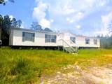 12256 Hwy 81 - Photo 4