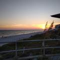156 Blue Crab Loop - Photo 35