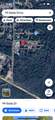 99 Stella Drive - Photo 4