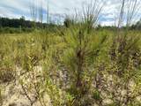 Tract#6415 Hwy 79 - Photo 10