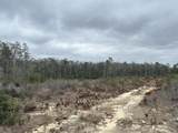 Tract#6415 Hwy 79 - Photo 11