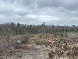 Tract#6415 Hwy 79 - Photo 13