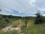 Tract#6415 Hwy 79 - Photo 2