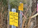 Tract#6415 Hwy 79 - Photo 20