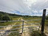 Tract#6415 Hwy 79 - Photo 7