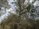 Tract#6301 Love Road - Photo 2