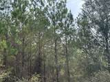 Tract#6301 Love Road - Photo 3