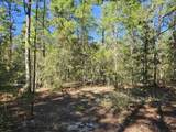 .69 Acre Dogwood East Avenue - Photo 8