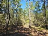 .69 Acre Dogwood East Avenue - Photo 9