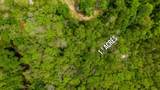 1.88 Acres Riverview Loop - Photo 8