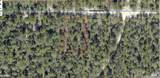 Lot 27 Blk 36 E. Dogwood East Avenue - Photo 4