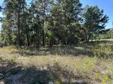 1701 Lost Cove Lane - Photo 14