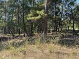 1701 Lost Cove Lane - Photo 15