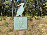1701 Lost Cove Lane - Photo 9
