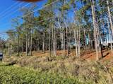 1.1 Acres Us Highway 331 South - Photo 4