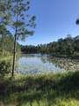 1521 Dune Lake Trail - Photo 1