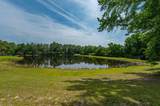 4869 Retta Lane - Photo 24