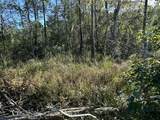 Parcel L Buck Tyner Road - Photo 7