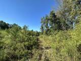 Parcel K&L Buck Tyner Road - Photo 8