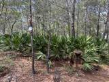 Lot 8 Wilderness Way - Photo 8