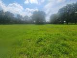 32 acres Williams Road - Photo 11