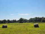 32 acres Williams Road - Photo 12