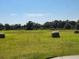 32 acres Williams Road - Photo 13