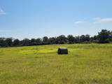 32 acres Williams Road - Photo 14
