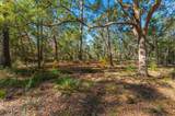 1 Acre +/- Holly Point Road - Photo 10