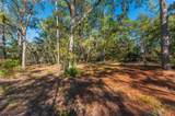 1 Acre +/- Holly Point Road - Photo 13