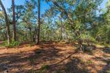 1 Acre +/- Holly Point Road - Photo 14