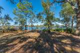 1 Acre +/- Holly Point Road - Photo 16