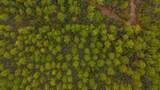 40 Acres Brooklyn Drive - Photo 23