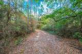 40 Acres Brooklyn Drive - Photo 4