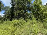 Lot 261 Squirrel Alley - Photo 5