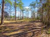 Lot 14 Woodland Bayou Drive - Photo 6