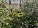TBD Cape San Blas Road - Photo 10