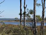 TBD Cape San Blas Road - Photo 12