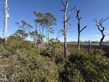 TBD Cape San Blas Road - Photo 2