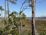 TBD Cape San Blas Road - Photo 3