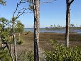 TBD Cape San Blas Road - Photo 4