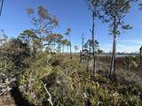 TBD Cape San Blas Road - Photo 6
