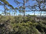 TBD Cape San Blas Road - Photo 7