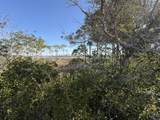 TBD Cape San Blas Road - Photo 8