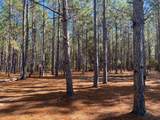XXX Bear Bay Flats Road - Photo 5