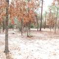 770 Don Graff Road - Photo 55
