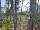 Lot 6 Cape San Blas Rd - Photo 4