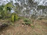Lot 6 Cape San Blas Rd - Photo 5