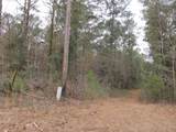 10 acres Co Highway 183 - Photo 3