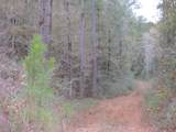 10 acres Co Highway 183 - Photo 4